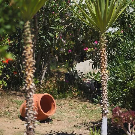 Appartement Joanna *