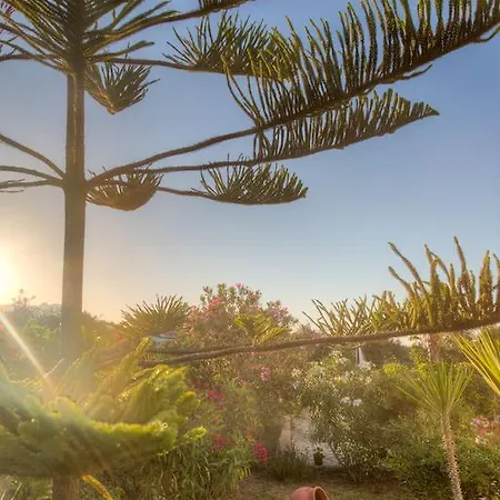 Appartement Joanna Vasilikí